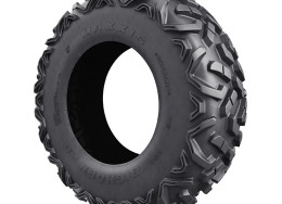 X ds tire - Maxxis Bighorn - front