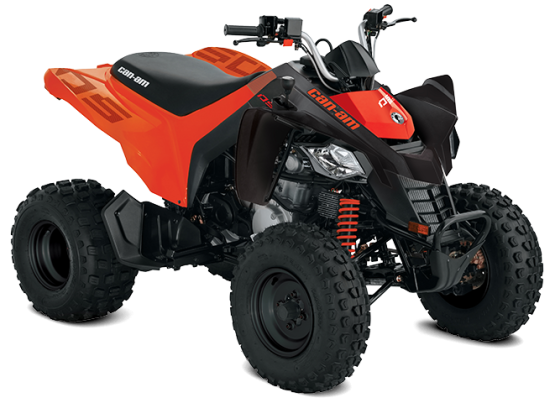 CAN- AM DS 250